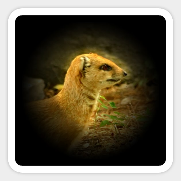 Mongoose Sticker by Guardi